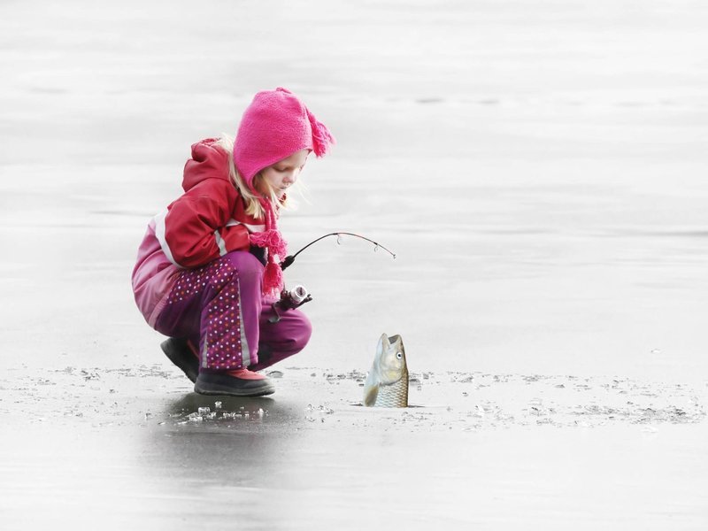 Ice fishing gambling game, ice fishing gamble game